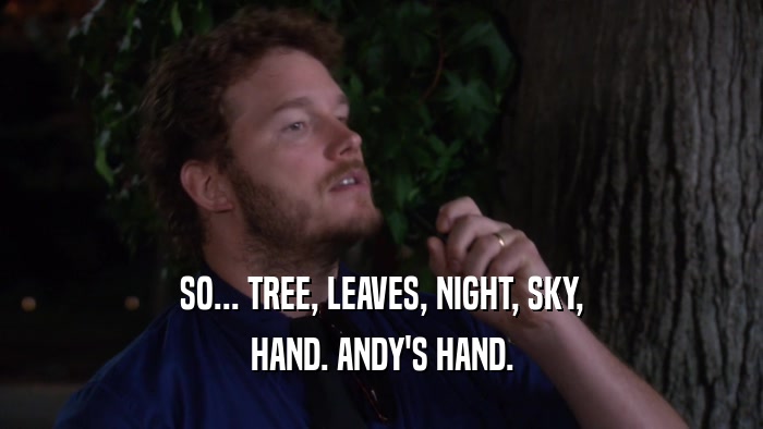 SO... TREE, LEAVES, NIGHT, SKY, HAND. ANDY'S HAND. 