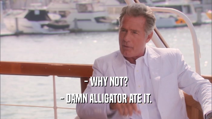 - WHY NOT? - DAMN ALLIGATOR ATE IT. 