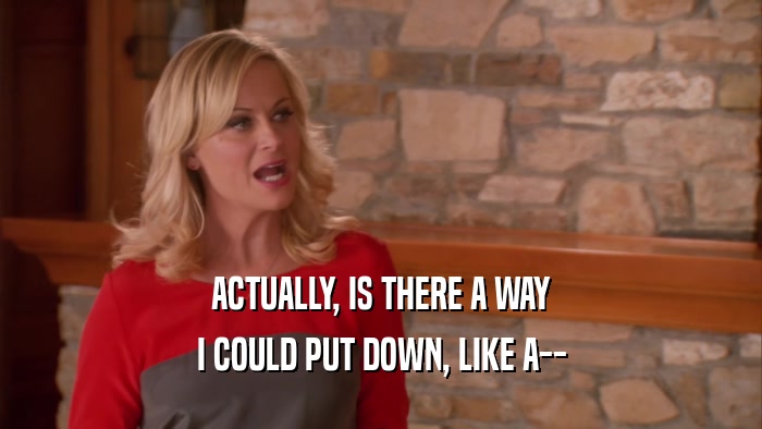 ACTUALLY, IS THERE A WAY I COULD PUT DOWN, LIKE A-- 
