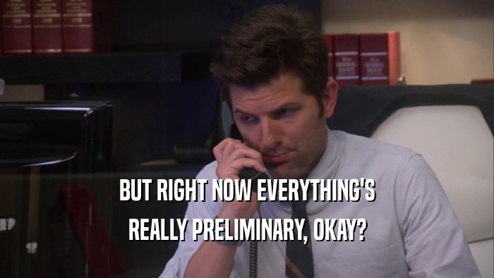 BUT RIGHT NOW EVERYTHING'S REALLY PRELIMINARY, OKAY? 