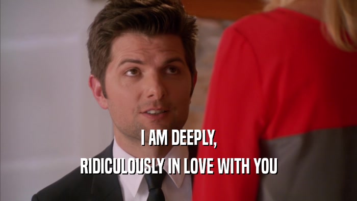 I AM DEEPLY, RIDICULOUSLY IN LOVE WITH YOU 