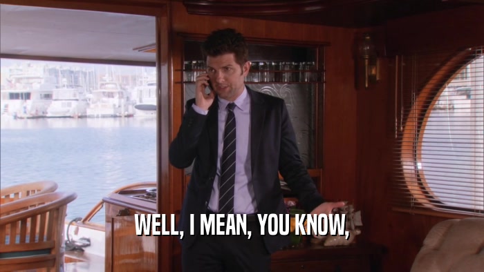 WELL, I MEAN, YOU KNOW,  