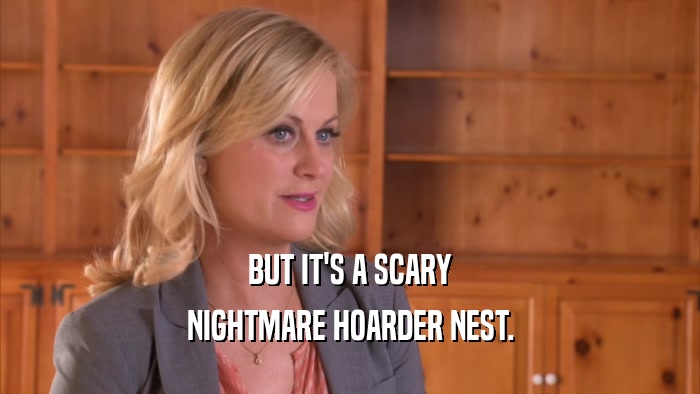 BUT IT'S A SCARY NIGHTMARE HOARDER NEST. 