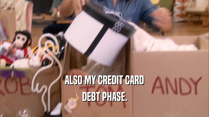 ALSO MY CREDIT CARD DEBT PHASE. 