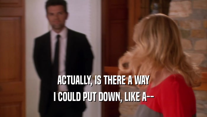ACTUALLY, IS THERE A WAY I COULD PUT DOWN, LIKE A-- 