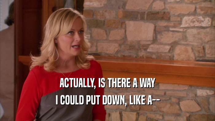 ACTUALLY, IS THERE A WAY I COULD PUT DOWN, LIKE A-- 