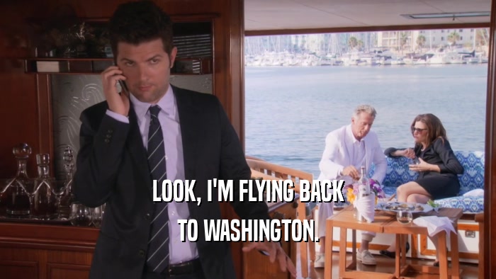 LOOK, I'M FLYING BACK TO WASHINGTON. 