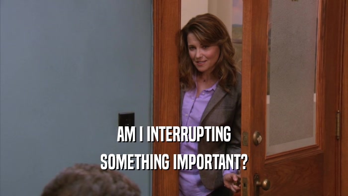 AM I INTERRUPTING SOMETHING IMPORTANT? 