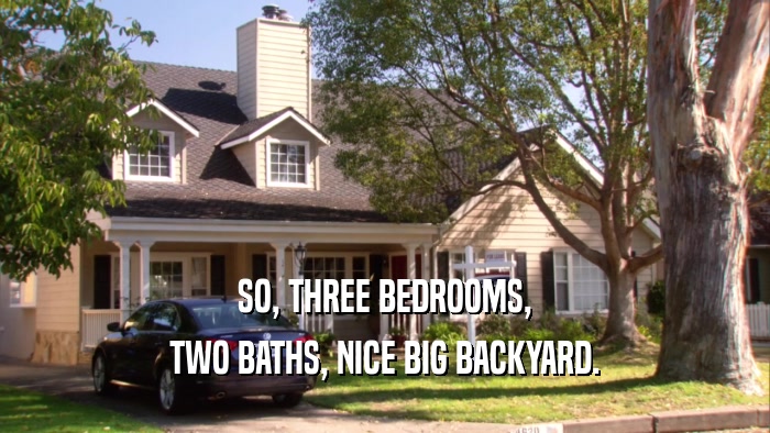 SO, THREE BEDROOMS, TWO BATHS, NICE BIG BACKYARD. 