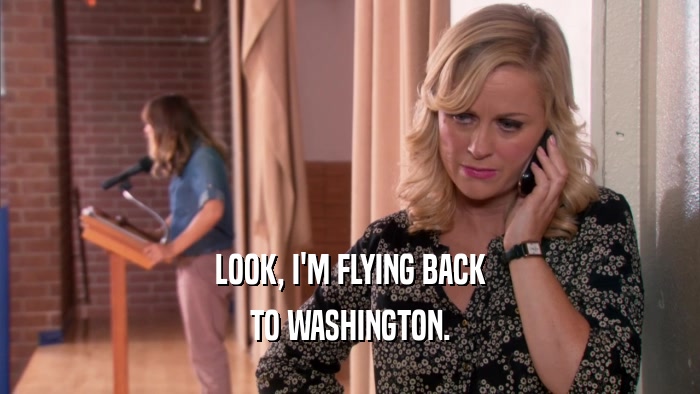 LOOK, I'M FLYING BACK TO WASHINGTON. 