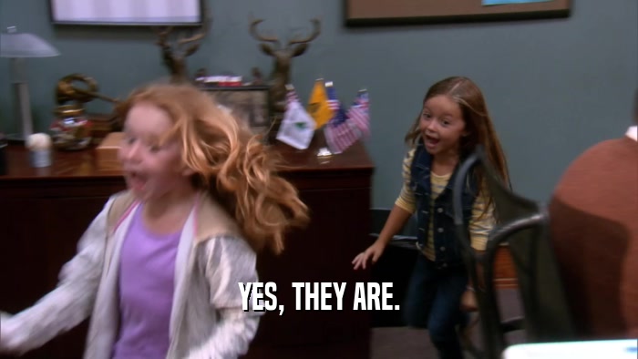 YES, THEY ARE.  
