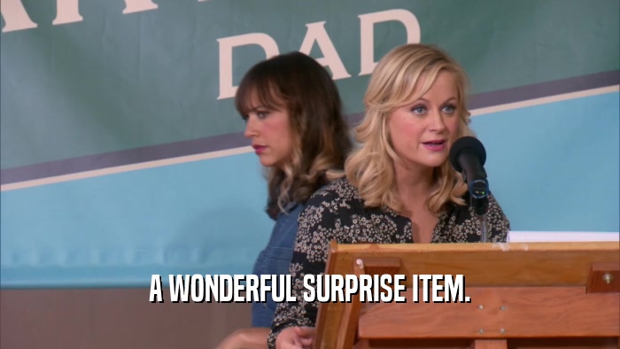 A WONDERFUL SURPRISE ITEM.  
