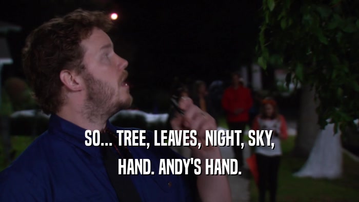 SO... TREE, LEAVES, NIGHT, SKY, HAND. ANDY'S HAND. 