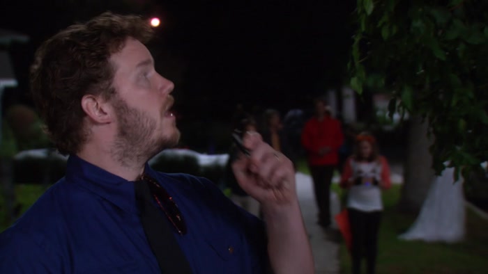 SO... TREE, LEAVES, NIGHT, SKY, HAND. ANDY'S HAND. 