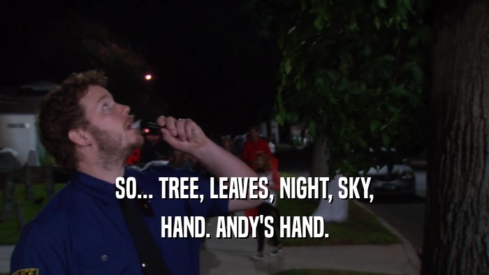SO... TREE, LEAVES, NIGHT, SKY, HAND. ANDY'S HAND. 