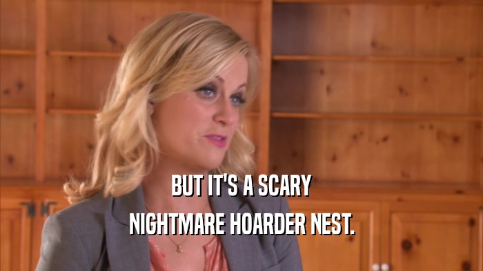 BUT IT'S A SCARY NIGHTMARE HOARDER NEST. 