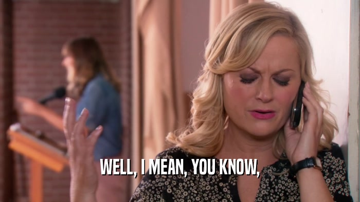WELL, I MEAN, YOU KNOW,  