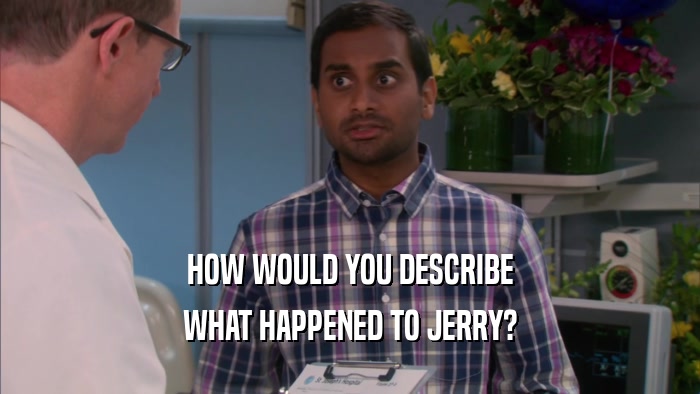 HOW WOULD YOU DESCRIBE WHAT HAPPENED TO JERRY? 