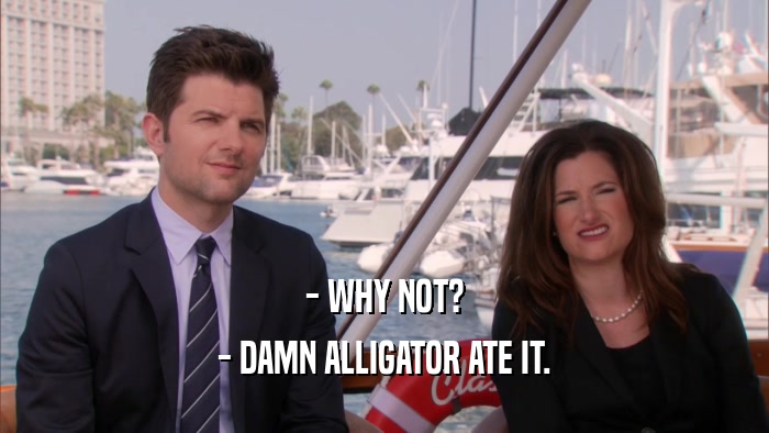 - WHY NOT? - DAMN ALLIGATOR ATE IT. 