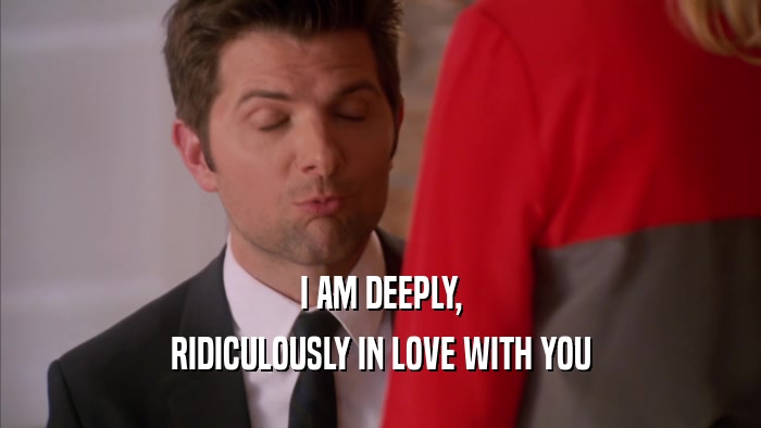 I AM DEEPLY, RIDICULOUSLY IN LOVE WITH YOU 