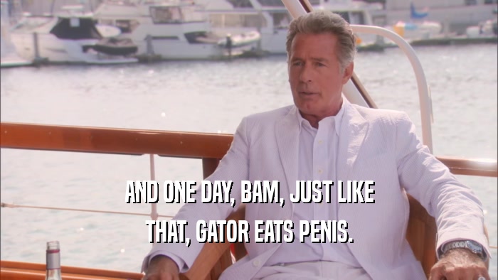 AND ONE DAY, BAM, JUST LIKE THAT, GATOR EATS PENIS. 