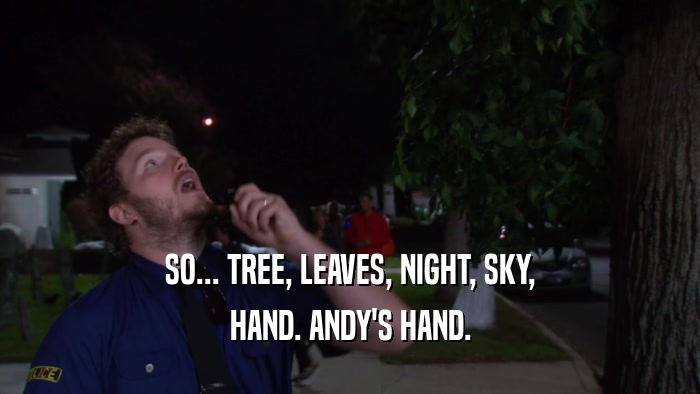 SO... TREE, LEAVES, NIGHT, SKY, HAND. ANDY'S HAND. 