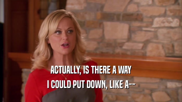 ACTUALLY, IS THERE A WAY I COULD PUT DOWN, LIKE A-- 