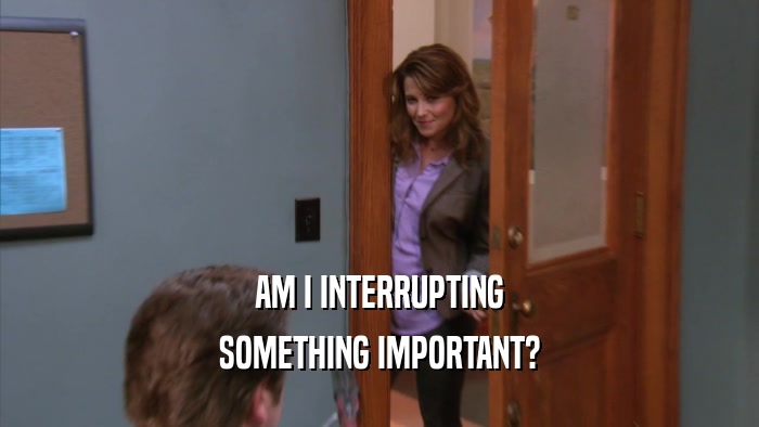 AM I INTERRUPTING SOMETHING IMPORTANT? 