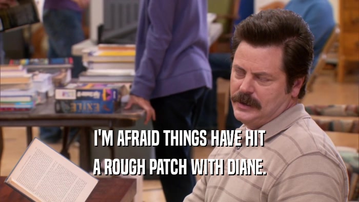 I'M AFRAID THINGS HAVE HIT A ROUGH PATCH WITH DIANE. 