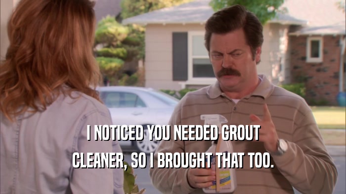 I NOTICED YOU NEEDED GROUT CLEANER, SO I BROUGHT THAT TOO. 