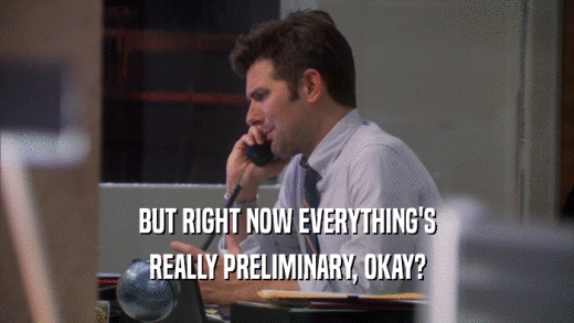 BUT RIGHT NOW EVERYTHING'S REALLY PRELIMINARY, OKAY? 