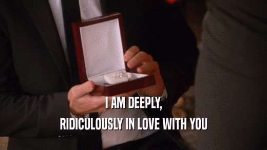 I AM DEEPLY, RIDICULOUSLY IN LOVE WITH YOU 