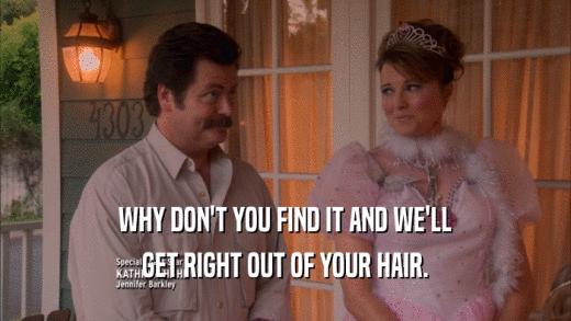 WHY DON'T YOU FIND IT AND WE'LL GET RIGHT OUT OF YOUR HAIR. 