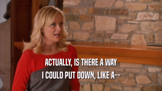 ACTUALLY, IS THERE A WAY I COULD PUT DOWN, LIKE A-- 