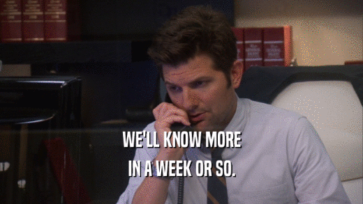 WE'LL KNOW MORE IN A WEEK OR SO. 