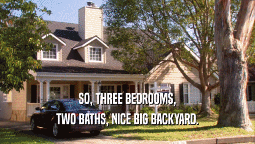 SO, THREE BEDROOMS, TWO BATHS, NICE BIG BACKYARD. 