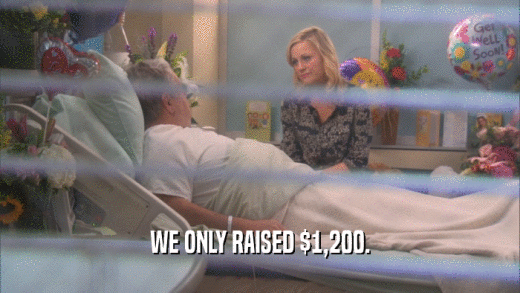 WE ONLY RAISED $1,200.  