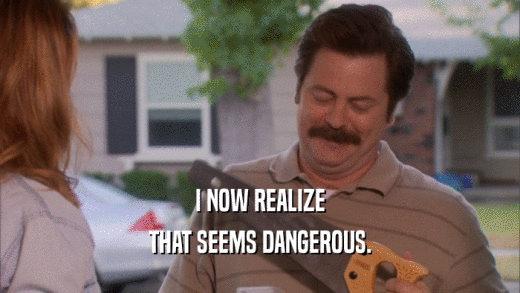 I NOW REALIZE THAT SEEMS DANGEROUS. 