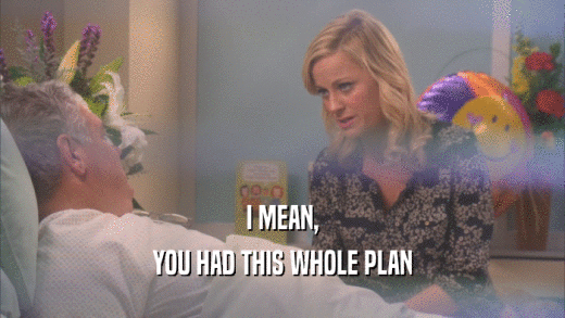 I MEAN, YOU HAD THIS WHOLE PLAN 
