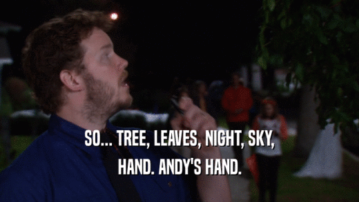 SO... TREE, LEAVES, NIGHT, SKY, HAND. ANDY'S HAND. 
