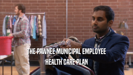 THE PAWNEE MUNICIPAL EMPLOYEE HEALTH CARE PLAN 
