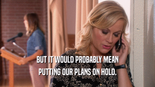BUT IT WOULD PROBABLY MEAN PUTTING OUR PLANS ON HOLD. 