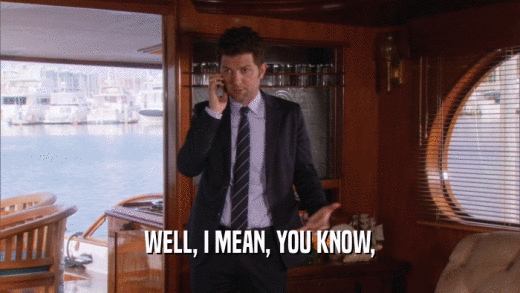 WELL, I MEAN, YOU KNOW,  