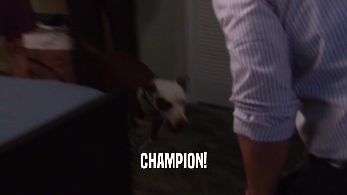 CHAMPION!  