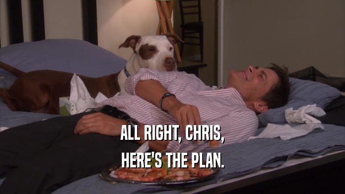 ALL RIGHT, CHRIS, HERE'S THE PLAN. 