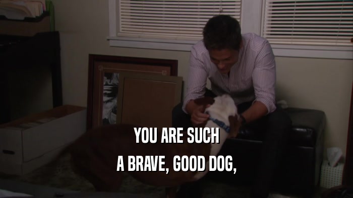 YOU ARE SUCH A BRAVE, GOOD DOG, 