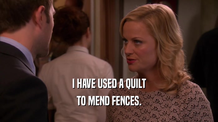 I HAVE USED A QUILT TO MEND FENCES. 