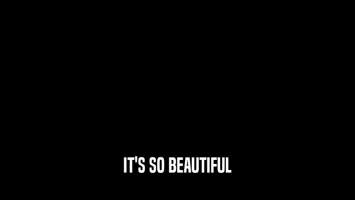 IT'S SO BEAUTIFUL  