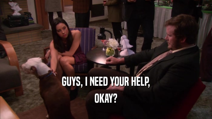 GUYS, I NEED YOUR HELP, OKAY? 