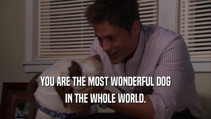 YOU ARE THE MOST WONDERFUL DOG IN THE WHOLE WORLD. 